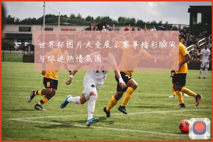 世界杯图片大全展示赛事精彩瞬间与球迷热情氛围