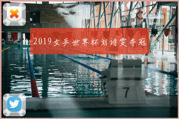 2019女乒世界杯刘诗雯夺冠
