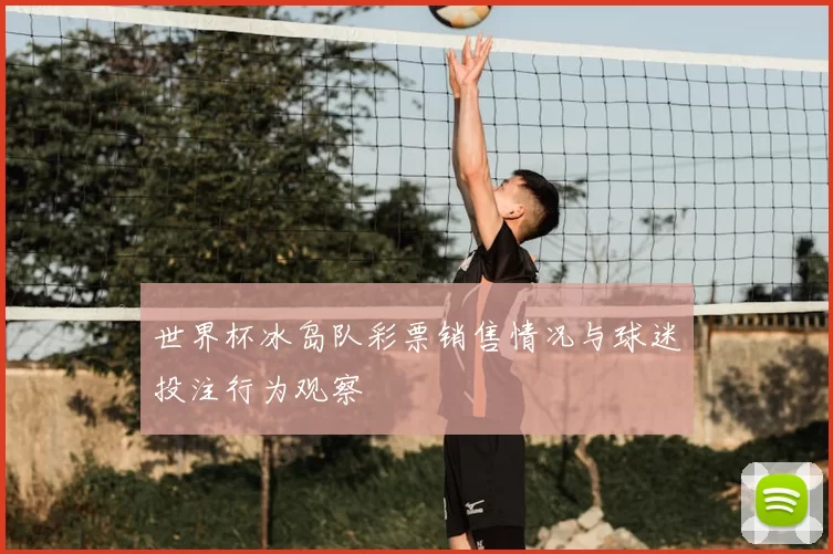 世界杯冰岛队彩票销售情况与球迷投注行为观察
