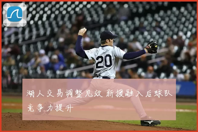 湖人交易调整见效 新援融入后球队竞争力提升