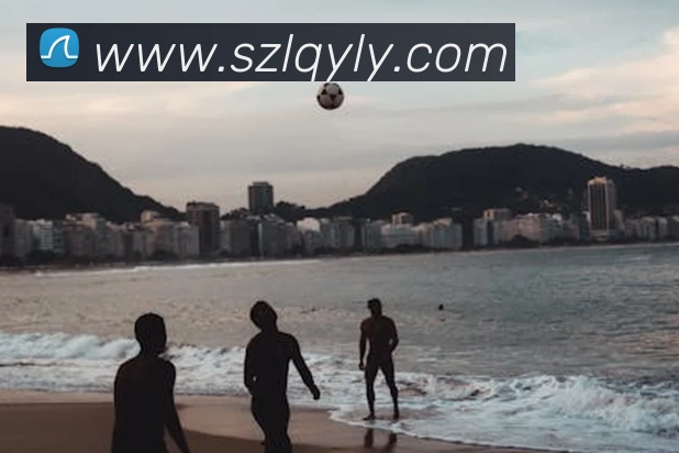 多媒体互动体验